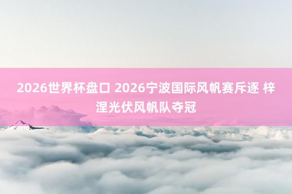 2026世界杯盘口 2026宁波国际风帆赛斥逐 梓涅光伏风帆队夺冠