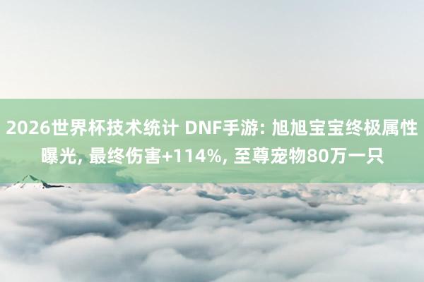 2026世界杯技术统计 DNF手游: 旭旭宝宝终极属性曝光, 最终伤害+114%, 至尊宠物80万一只