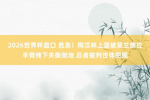 2026世界杯盘口 危急！陶汉林上篮被莫兰德拉手臂拽下失衡倒地 后者被判违体犯规