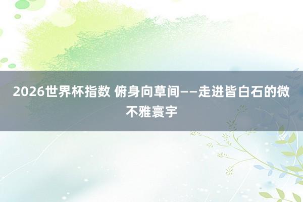 2026世界杯指数 俯身向草间——走进皆白石的微不雅寰宇
