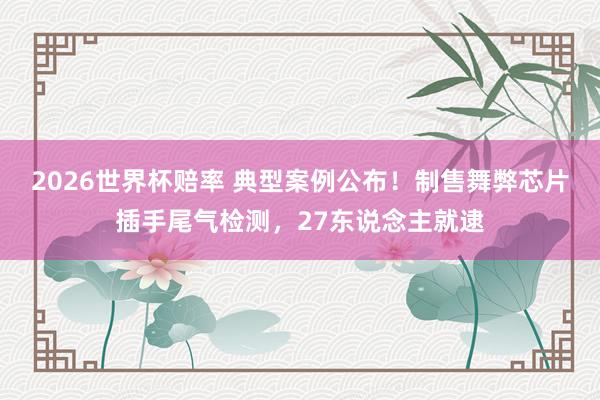 2026世界杯赔率 典型案例公布!制售舞弊芯片插手尾气检测,27东说念主就逮