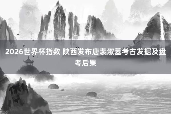 2026世界杯指数 陕西发布唐裴淑墓考古发掘及盘考后果
