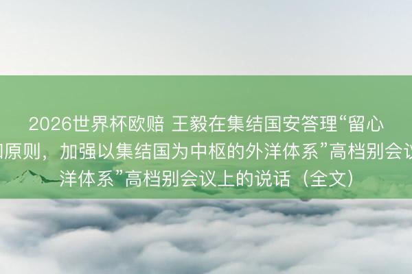 2026世界杯欧赔 王毅在集结国安答理“留心集结国宪章宗旨和原则，加强以集结国为中枢的外洋体系”高档别会议上的说话（全文）