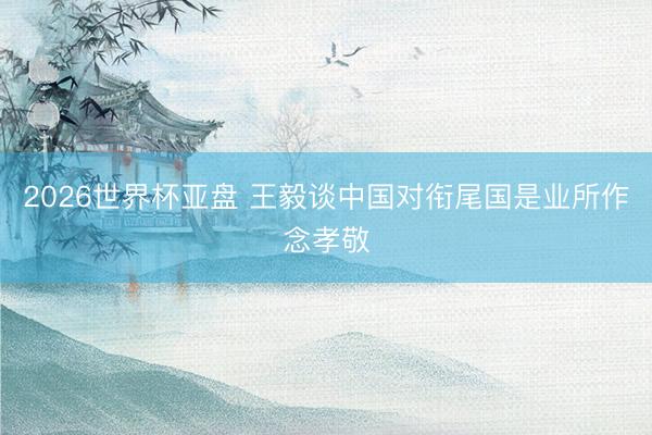 2026世界杯亚盘 王毅谈中国对衔尾国是业所作念孝敬