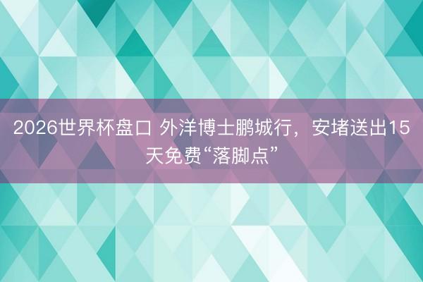 2026世界杯盘口 外洋博士鹏城行,安堵送出15天免费“落脚点”