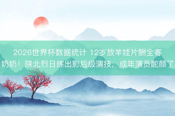 2026世界杯数据统计 12岁放羊娃片酬全寄奶奶！陕北烈日练出影后级演技，成年演员酡颜了