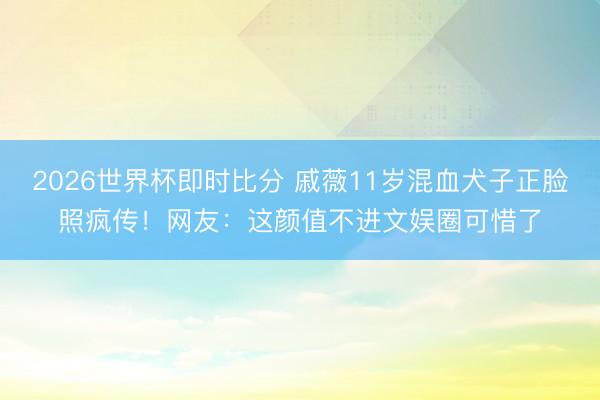 2026世界杯即时比分 戚薇11岁混血犬子正脸照疯传！网友：这颜值不进文娱圈可惜了